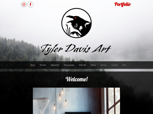 tylerdavisart.yourwebsitespace.com