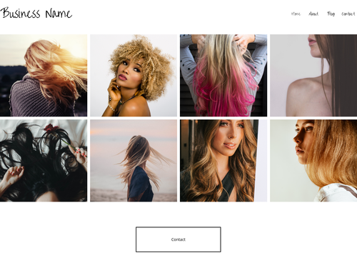 Social Media Influencer