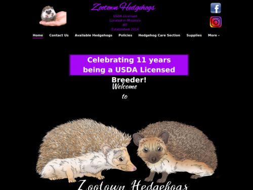 www.zootownhedgehogs.com