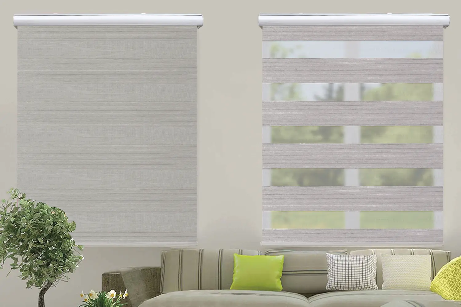 Window Blinds